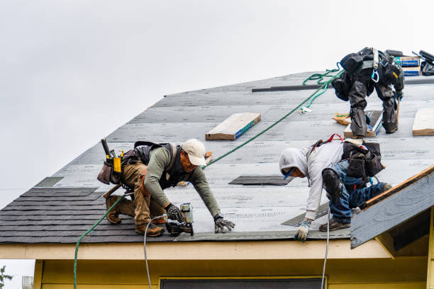 Professional Roofing technician working in La Prairie, IL